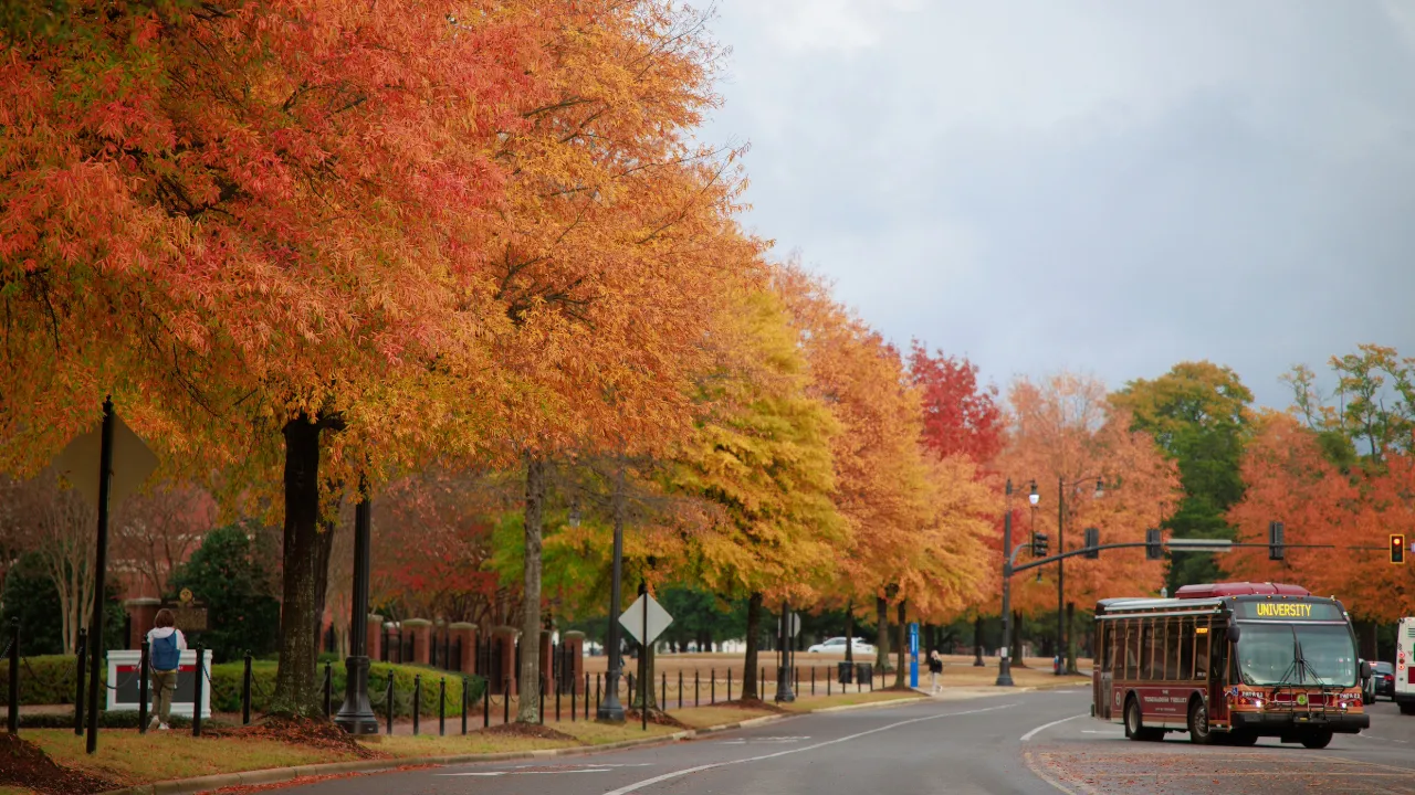 A shot of campus during Fall 2024